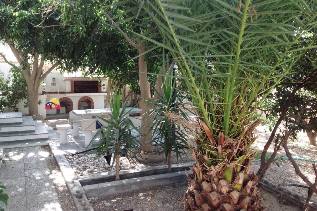 Celestial Garden Aparthotel Adamantas Exterior photo